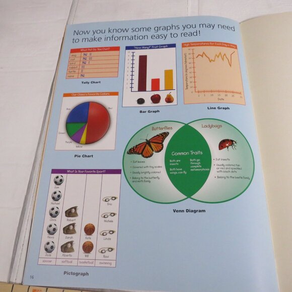 Graph It BIG BOOK (almost 2 feet tall) with teacher pages  CLASSROOM SIZE - Picture 15 of 16